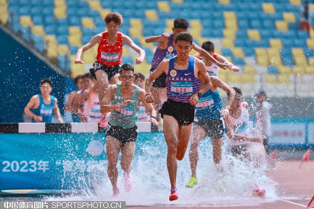 的对阵中 的对阵中