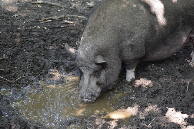 国足三连败 国足三连败