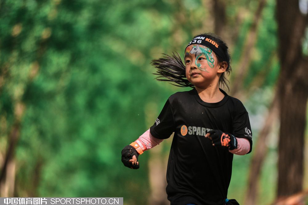 数据显示 数据显示