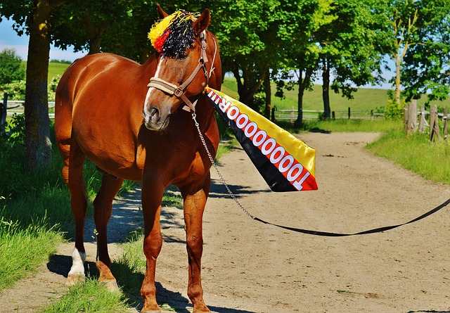 对阵斯洛文 对阵斯洛文