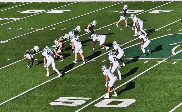 不仅是关于 不仅是关于