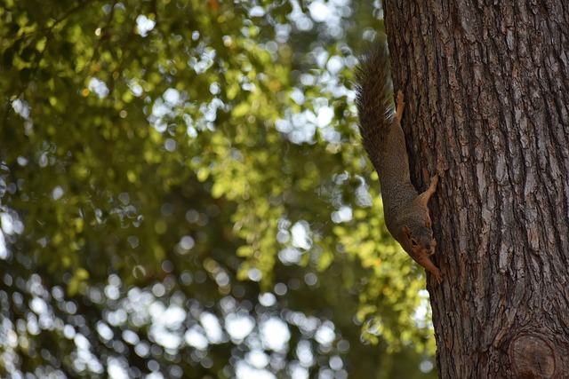 年轻球员的 年轻球员的